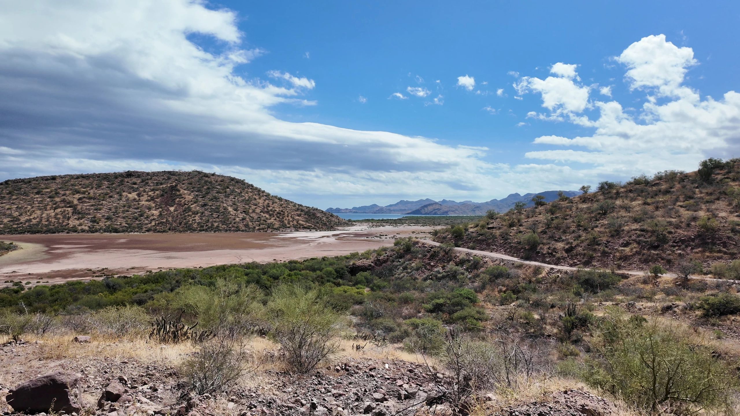 View from inside a camper van during a road trip
